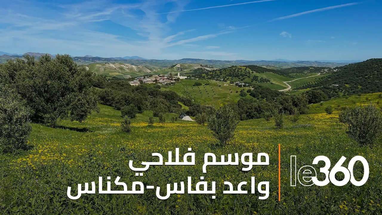April Rains Boost Spring Crops: Promising Agricultural Season in Fez-Meknes Region