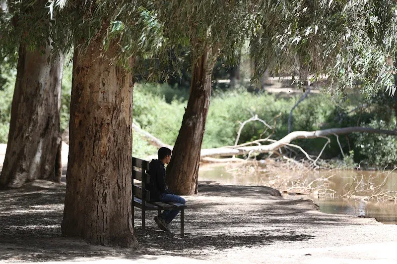 Morocco's Climate Experiences Rapid Changes: Heavy Rains and Early Heat