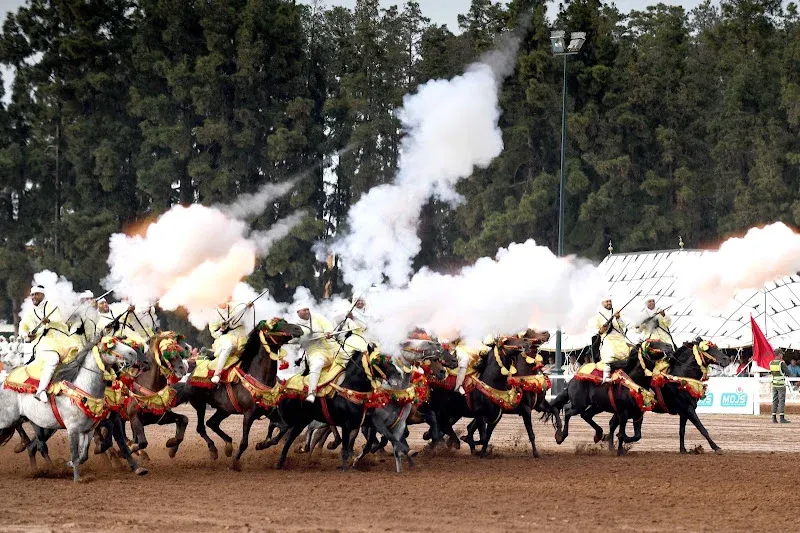 Tissa Celebrates Traditional Equestrian Heritage