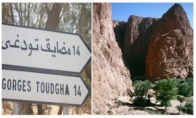 Urgent Concerns Raised Over Dangerous Interventions Threatening Todgha Oasis
