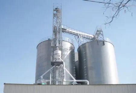 Cap Holding Strengthens Its Position in Moroccan Flour Industry Through Forafric Acquisition