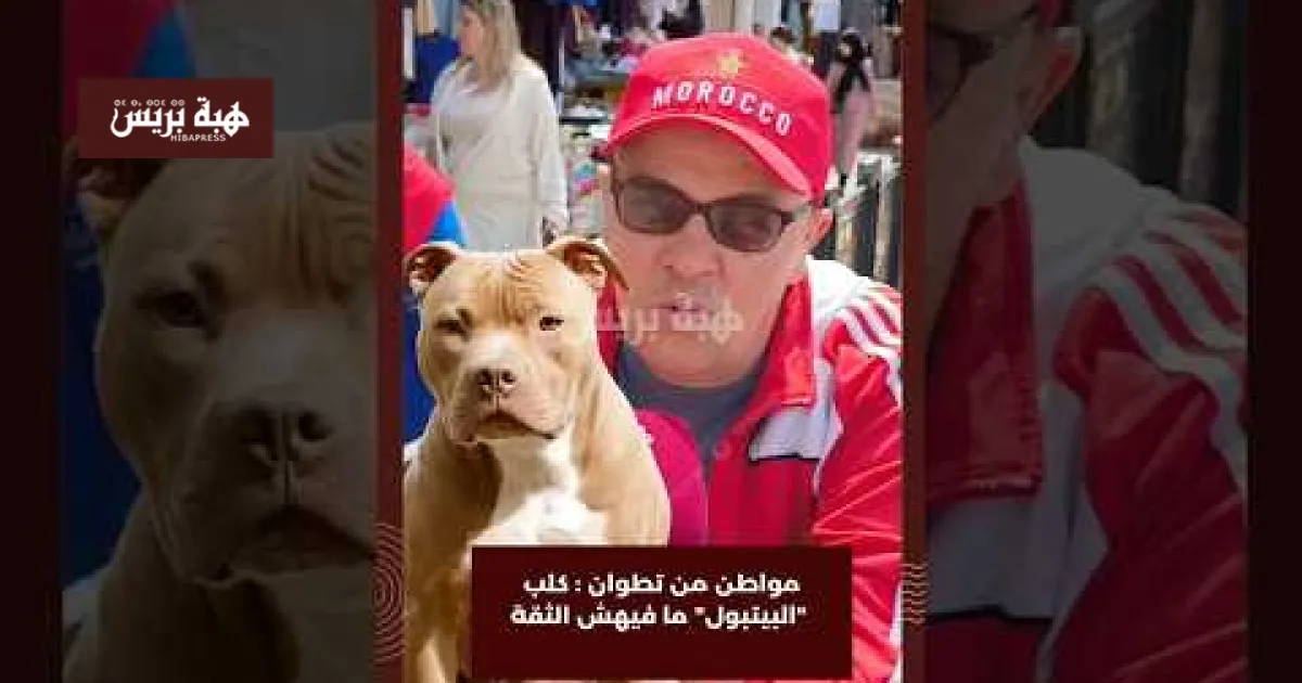 Stay Updated: Your Guide to National and International News Coverage