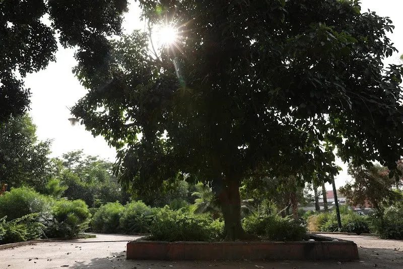 Rising Temperatures in April Signal a Scorching Summer Ahead for Morocco