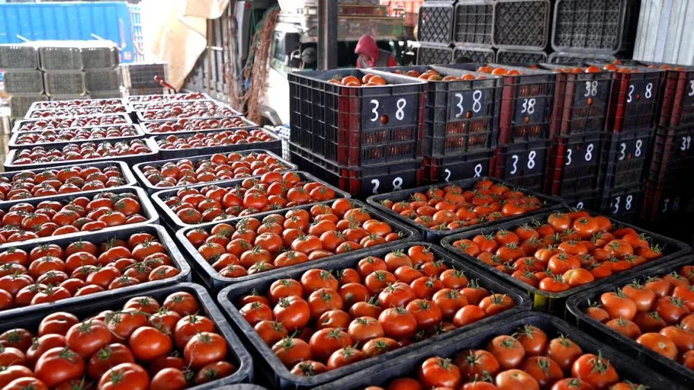 Red Meat Prices Decline in Casablanca While Tomato Prices Skyrocket