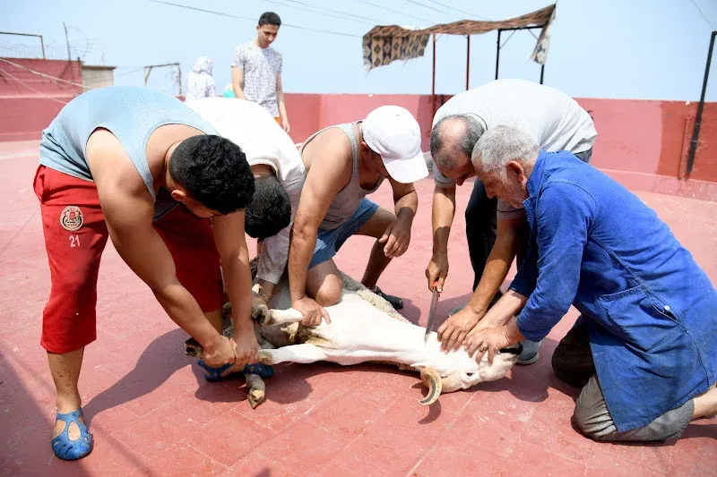 Astronomical Calculations Predict Eid Al-Adha on May 27 in Morocco