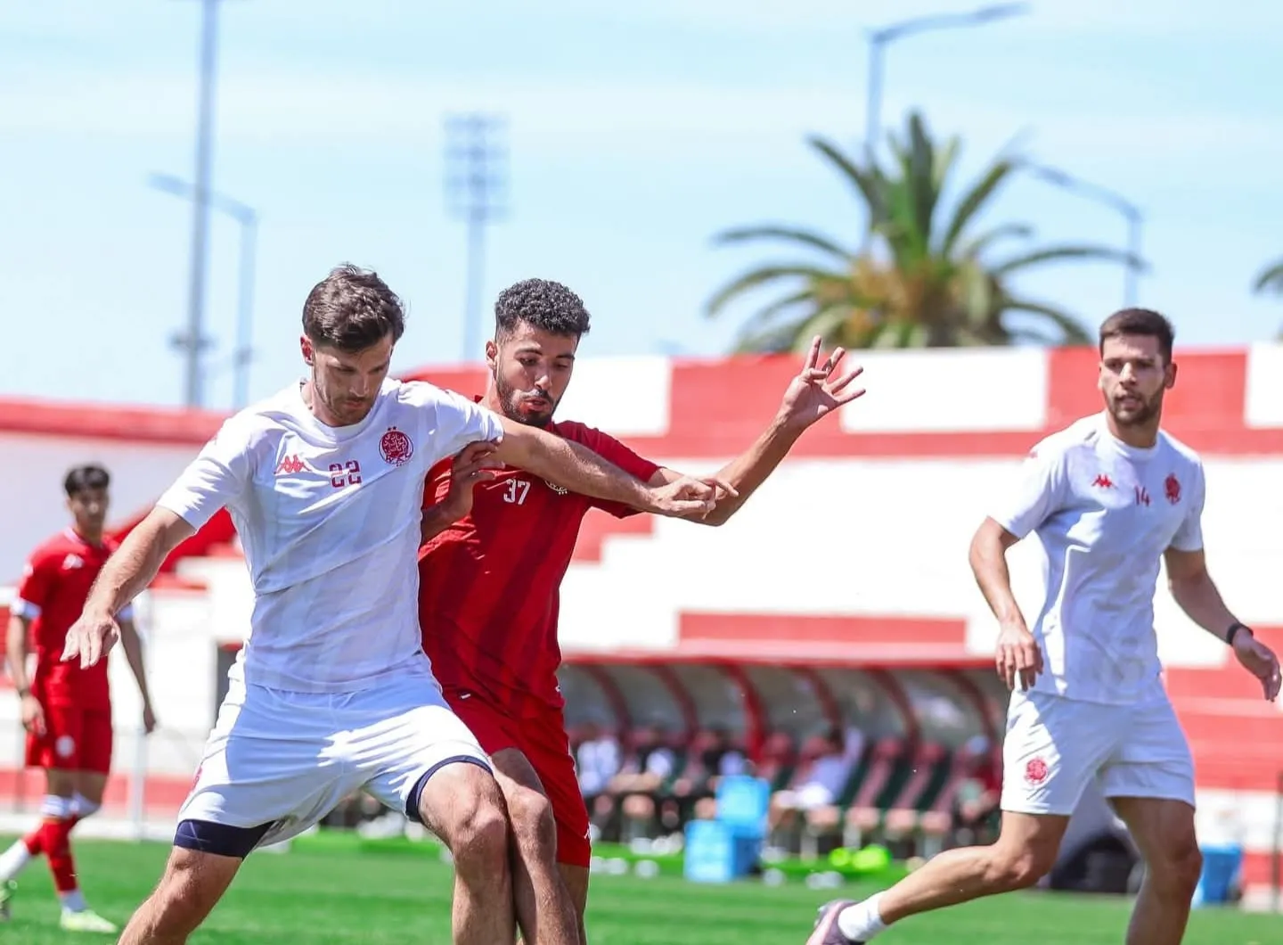 Wydad Athletic Club Prepares for Crucial Match Against Kawkab Marrakech