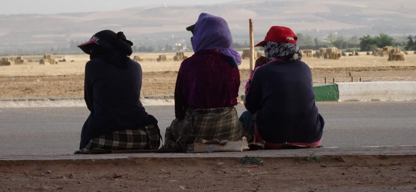 Youth Unemployment Crisis in Morocco: A Deep Dive into NEET Statistics