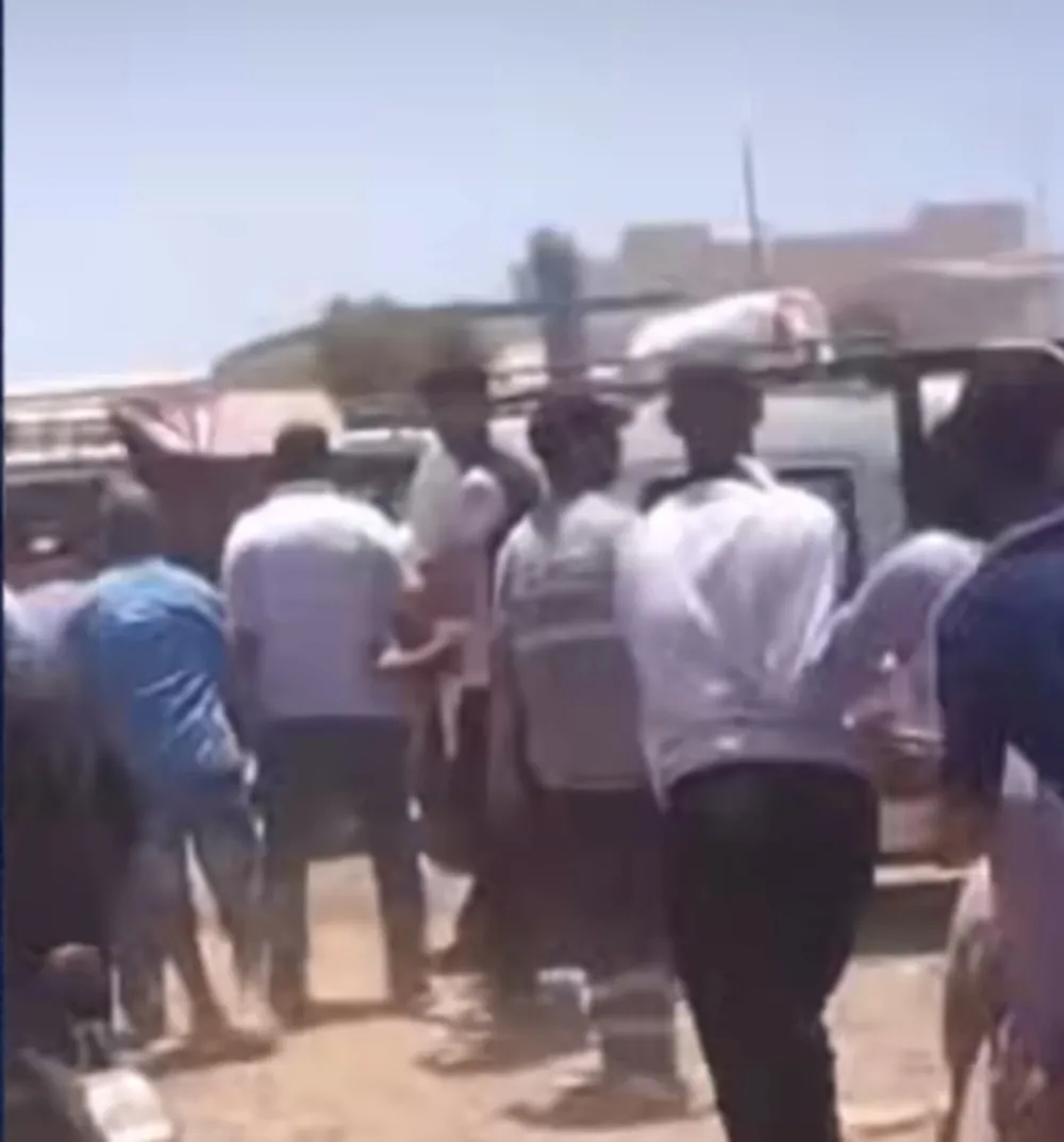 Chaos Erupts at Fes Sheep Market Amid Rising Prices