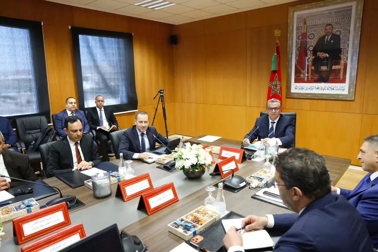 Souss-Massa: Launch of the Territorial Health Group