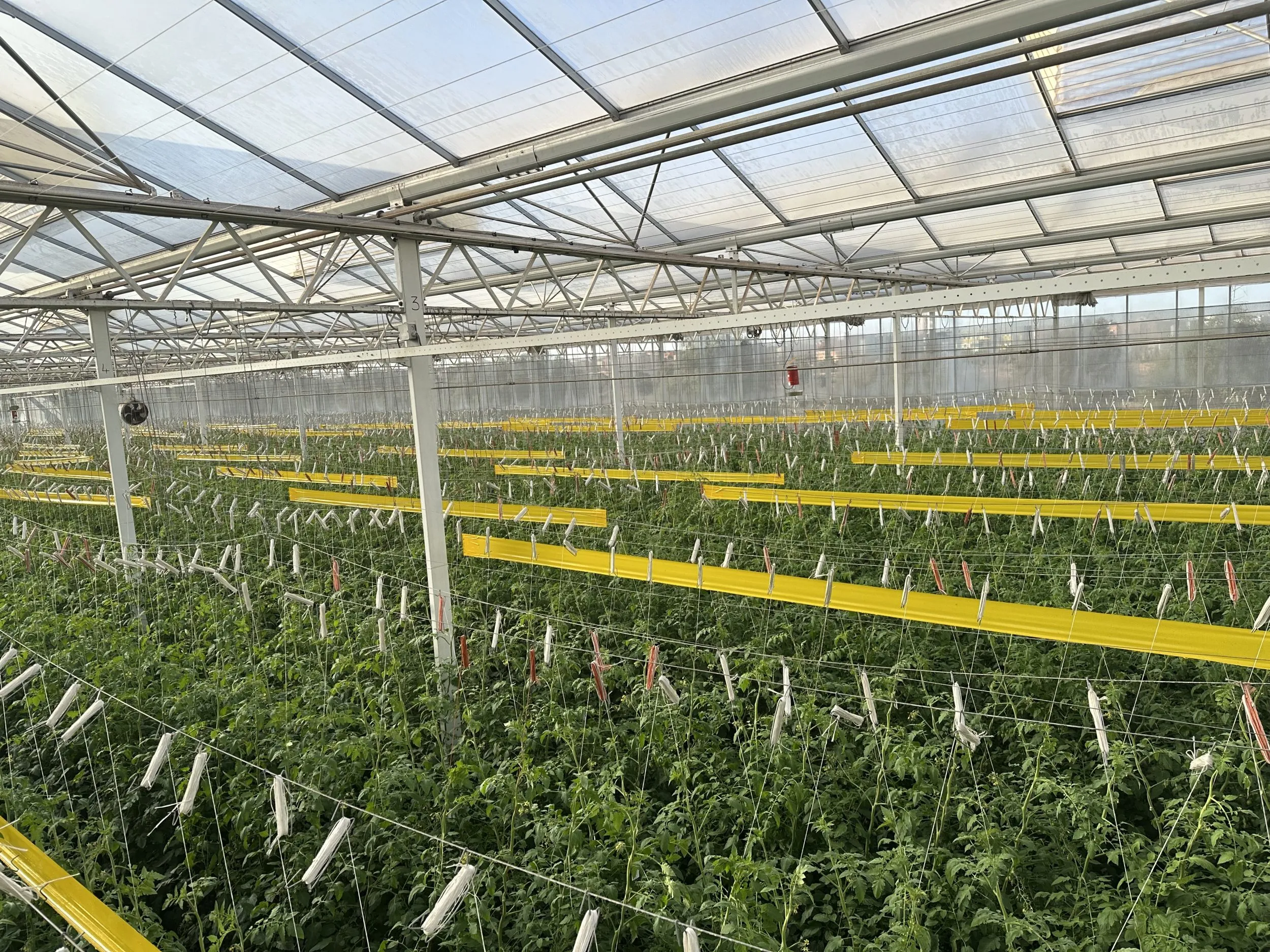 Danish Agro-Industrial Companies Set to Explore Investment Opportunities in Agadir