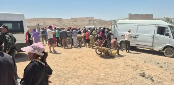 Stone-Throwing Incident Causes Chaos at Bensouda Livestock Market in Fez
