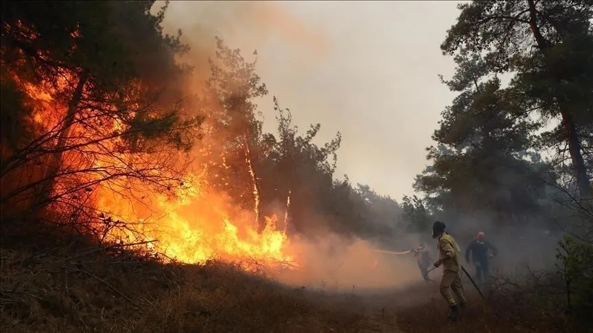 Morocco Issues Fire Warnings for Residents in Five Regions