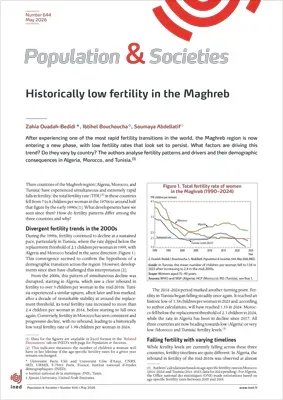 Understanding the Persistent Low Fertility Rates in the Maghreb Region