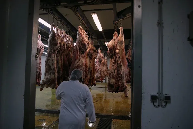 Essential Tips for Safely Handling Eid Al Adha Meat Amid Rising Temperatures