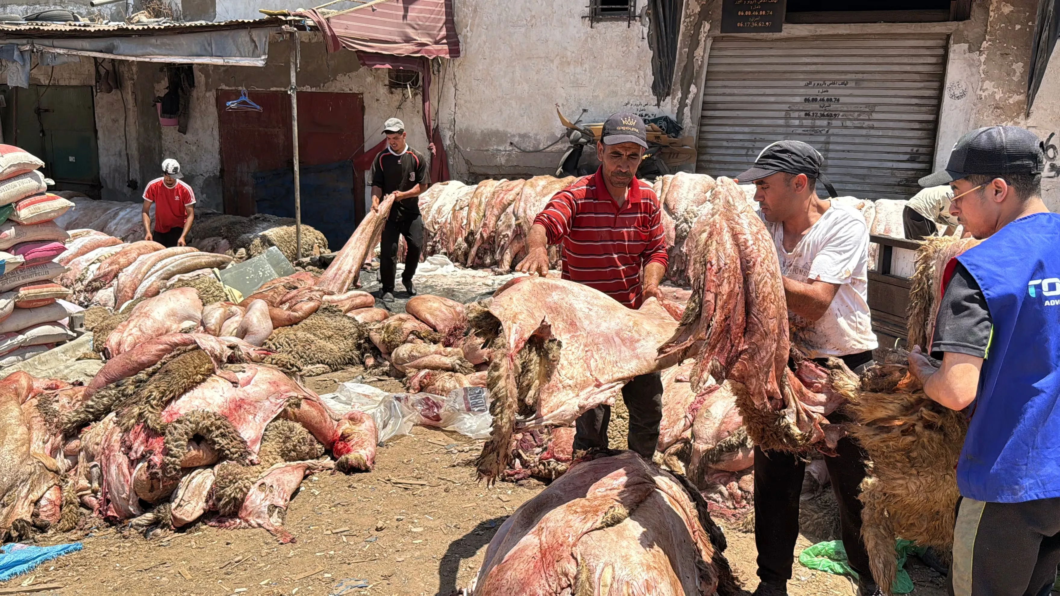 The Evolving Sheep Skin Market in Casablanca: A Resilient Yet Struggling Trade