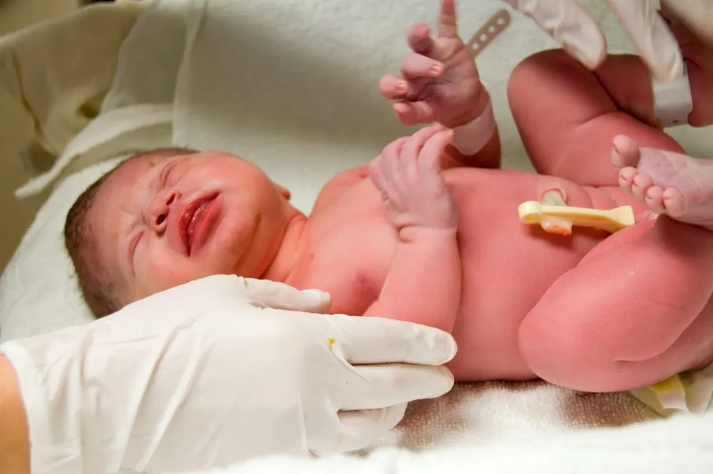 Historic Drop in Morocco's Fertility Rates: A Demographic Shift