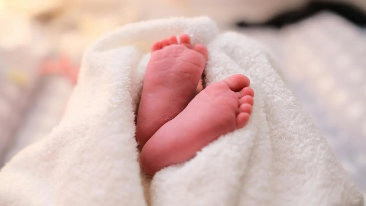 Historical Low Fertility Rates in the Maghreb: Insights from INED