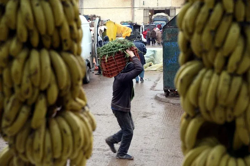 Limited Activity in Morocco's Wholesale Fruit and Vegetable Markets Amid Eid al-Adha