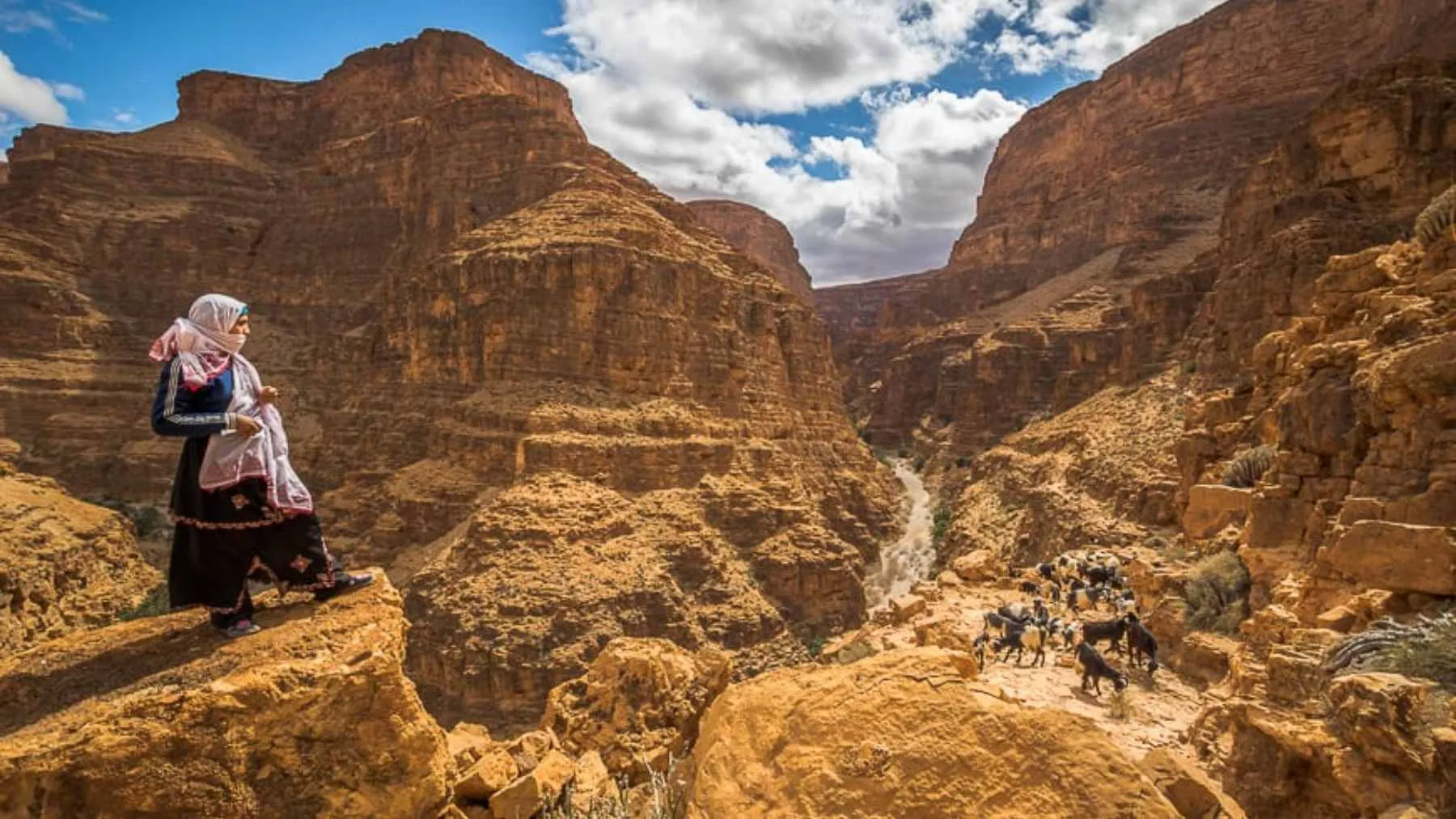 Harnessing Fog: A Revolutionary Water Solution for Moroccan Villages