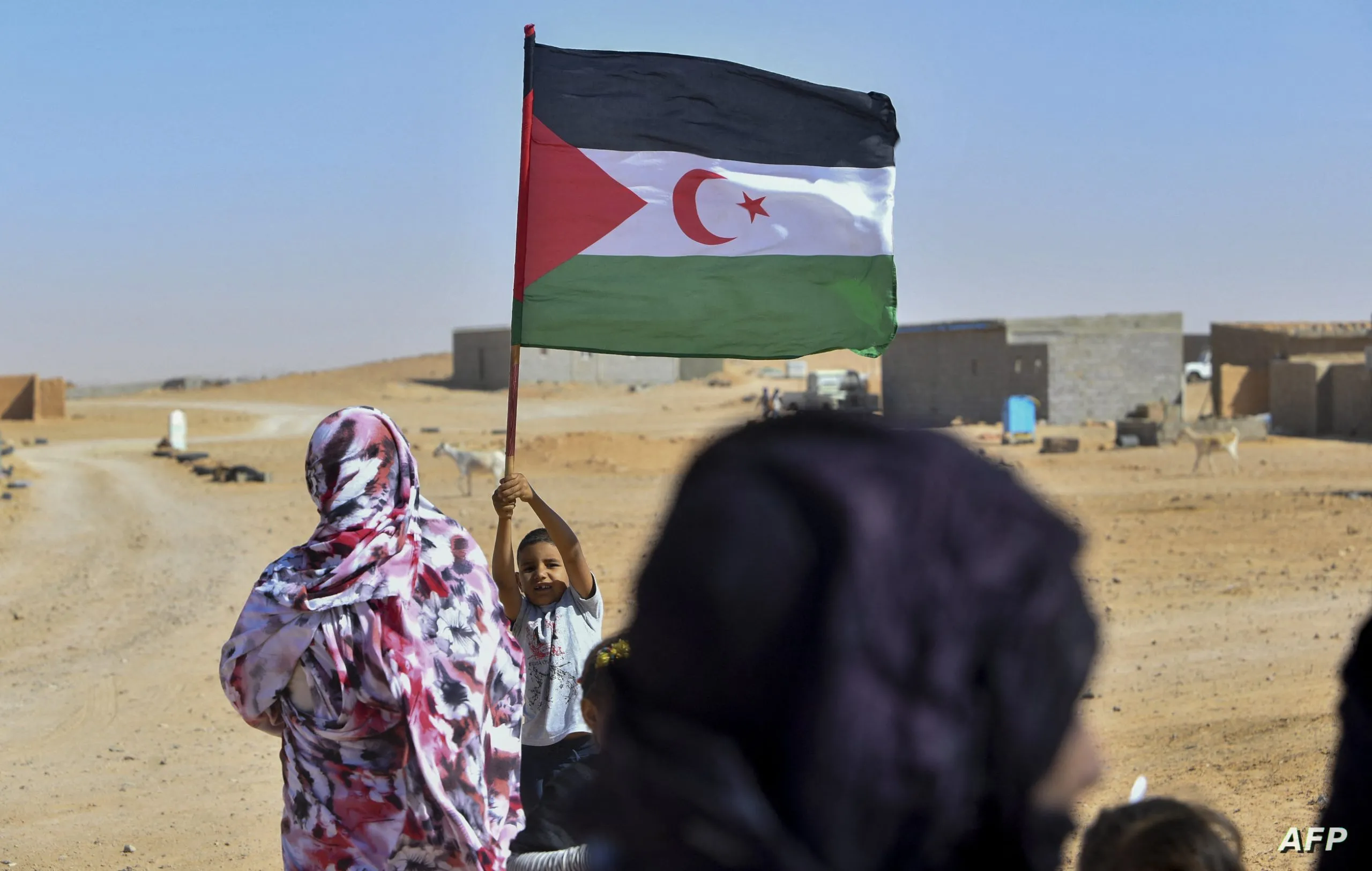ELDH Condemns Systematic Human Rights Violations Against Sahrawi Defenders in Western Sahara
