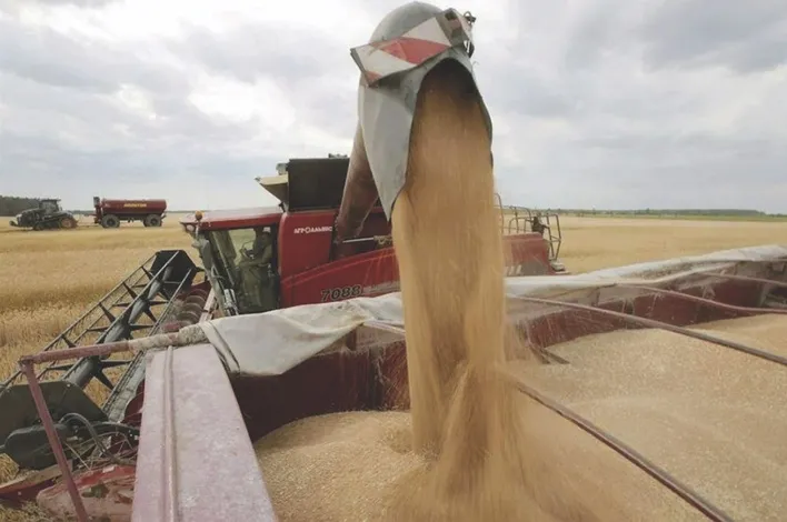 Food Sovereignty in Africa: Challenges and Innovations Amidst Climate Change