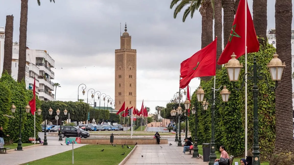 Barbary Monkeys in Marrakech: A Disturbing Tourist Attraction