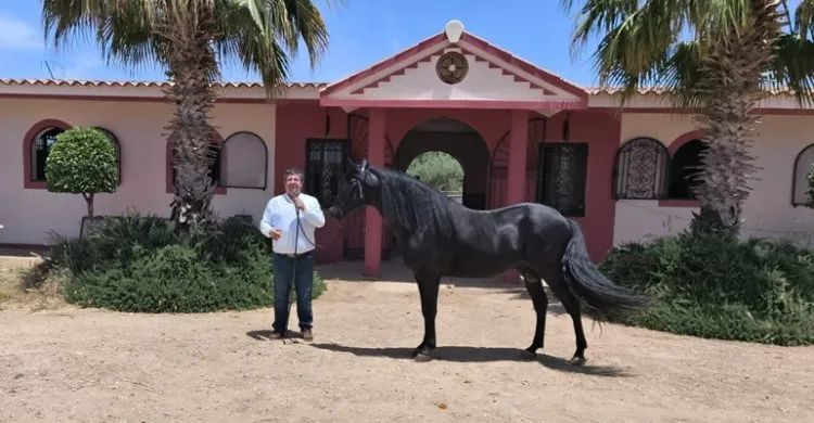 Mateo Rodríguez Aguirre's Equestrian Journey Through Europe and Morocco