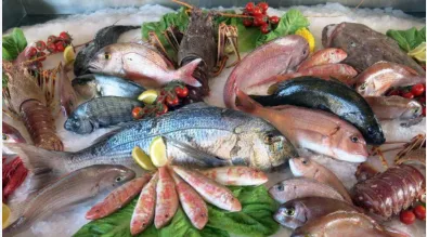 New Fish Market Set to Open in Fes: A Strategic Initiative to Combat Informal Sector Practices