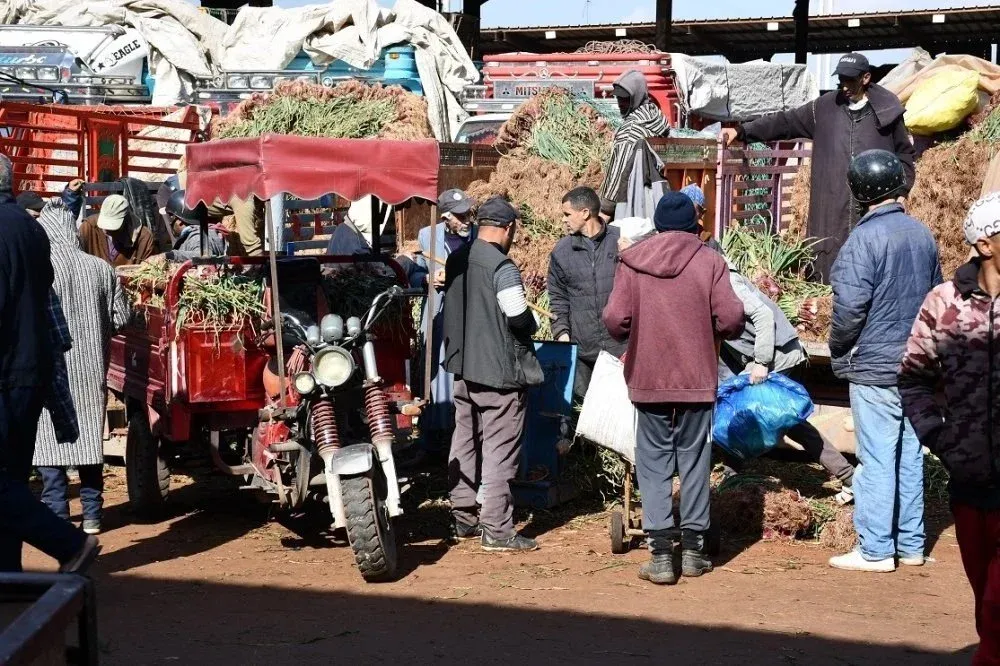Stabilization of Tomato Prices as Seasonal Fruits Flourish in Casablanca's Wholesale Market
