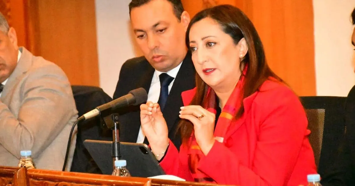 Major Shakeup: Eight RNI Officials, Including Rabat's Mayor, Resign Ahead of 2026 Elections