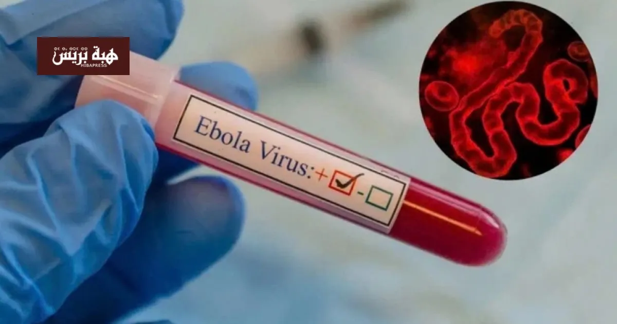 Clarification on Ebola Rumors in Marrakech: Health Authorities Confirm No Cases
