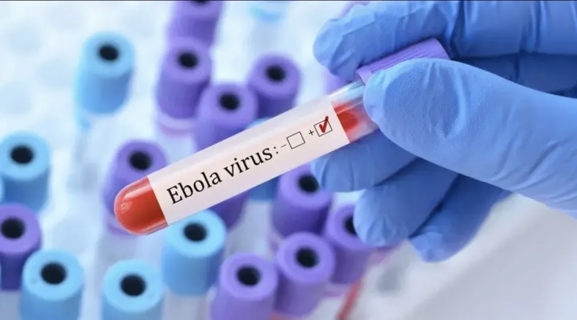 Health Authorities Dismiss Ebola Infection Rumors in Marrakech