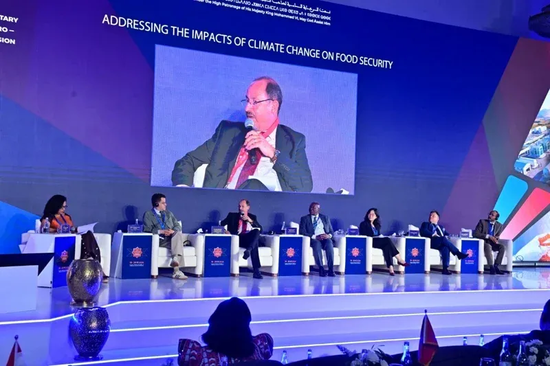 Morocco's Green Transition: Opportunities and Challenges in Climate Adaptation