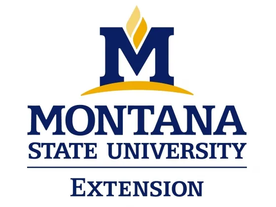 Montana Leaders Enhance Global Perspectives Through International Study Tour in Morocco