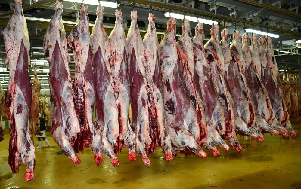 Rising Prices of Red Meat in Casablanca Amid Decreasing Produce Costs