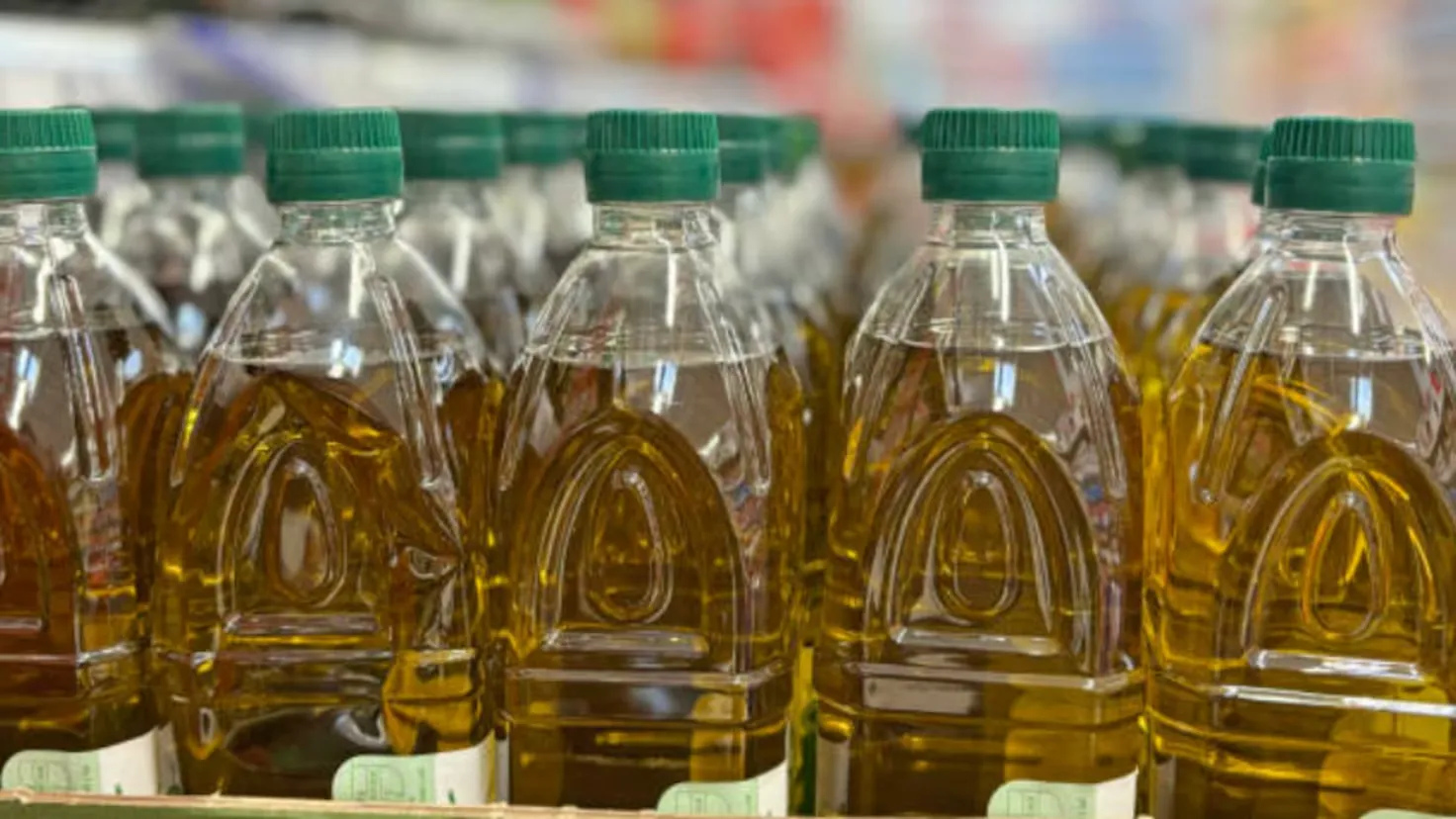 Morocco and Tunisia's Commercial Surge Threatens Spain's Olive Oil Dominance in the U.S.