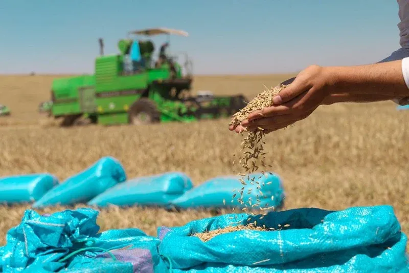Significant Increase in Grain Storage Capacity in Morocco