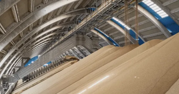 Duty-Free Moroccan Phosphate Fertilizer Set to Alleviate Costs for U.S. Farmers