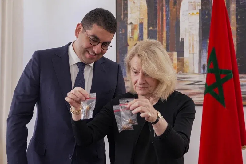 Morocco Reclaims Dinosaur Teeth in Cultural Heritage Effort