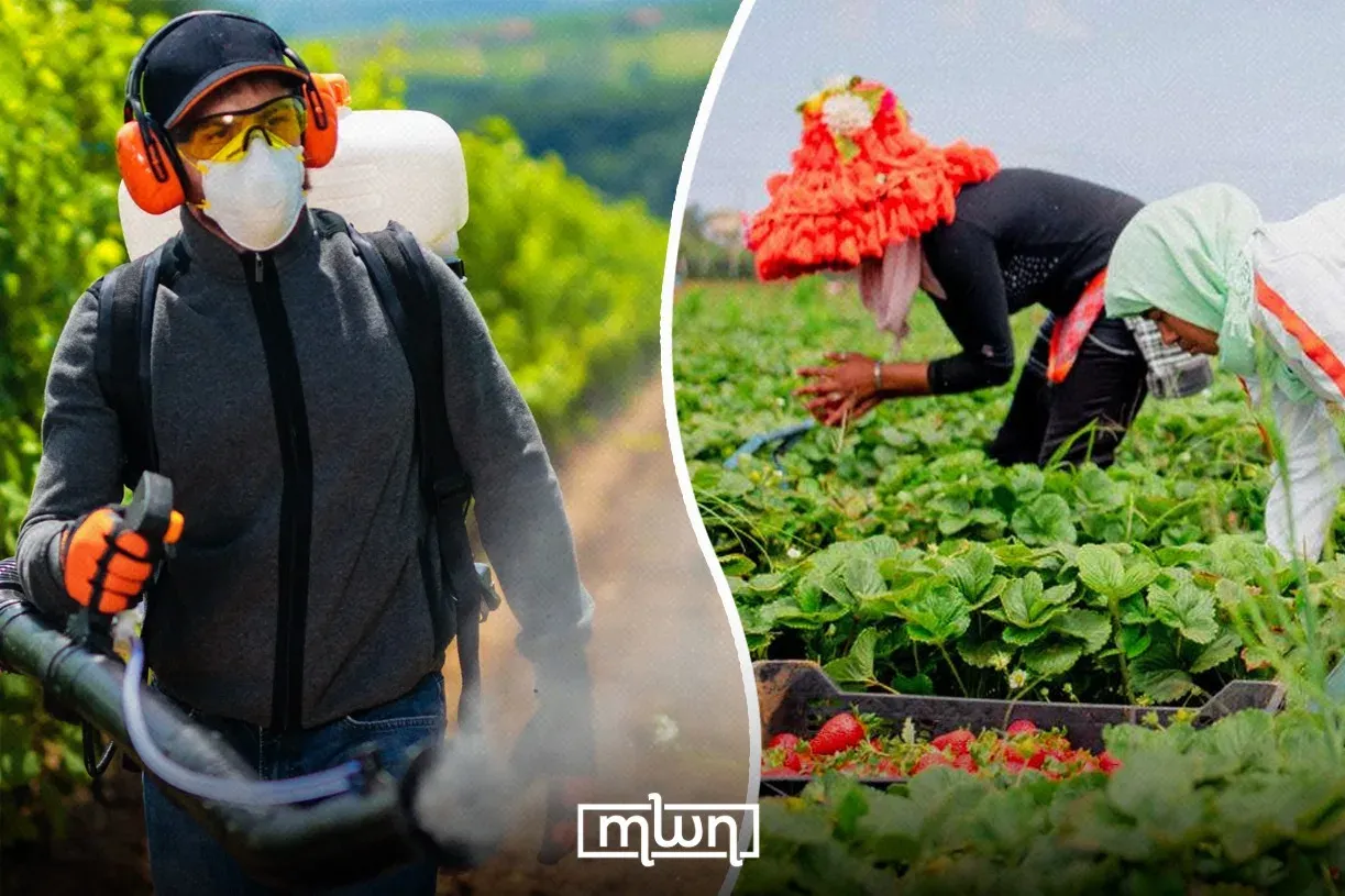 The Hidden Ties Between Agriculture and Public Health in Rural Morocco