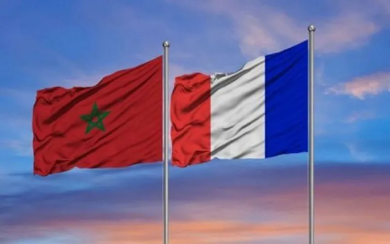 Morocco Reclaims 72-Million-Year-Old Fossils from France