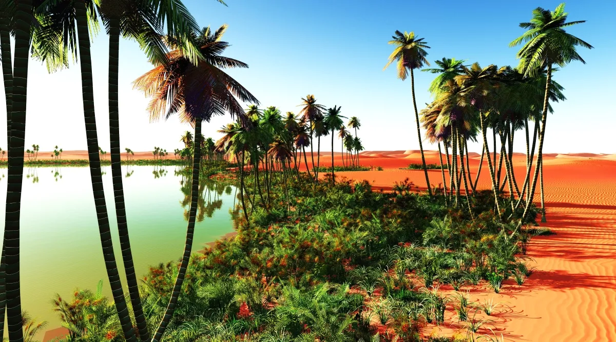Empowering Communities in Morocco’s Oases: A Path to Sustainable Growth