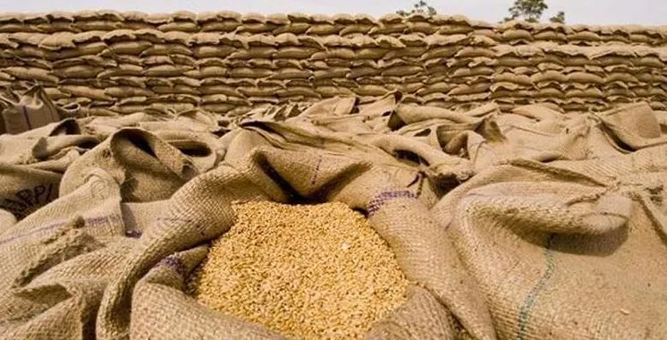Significant Advancements in Agricultural Practices in Casablanca-Settat Region