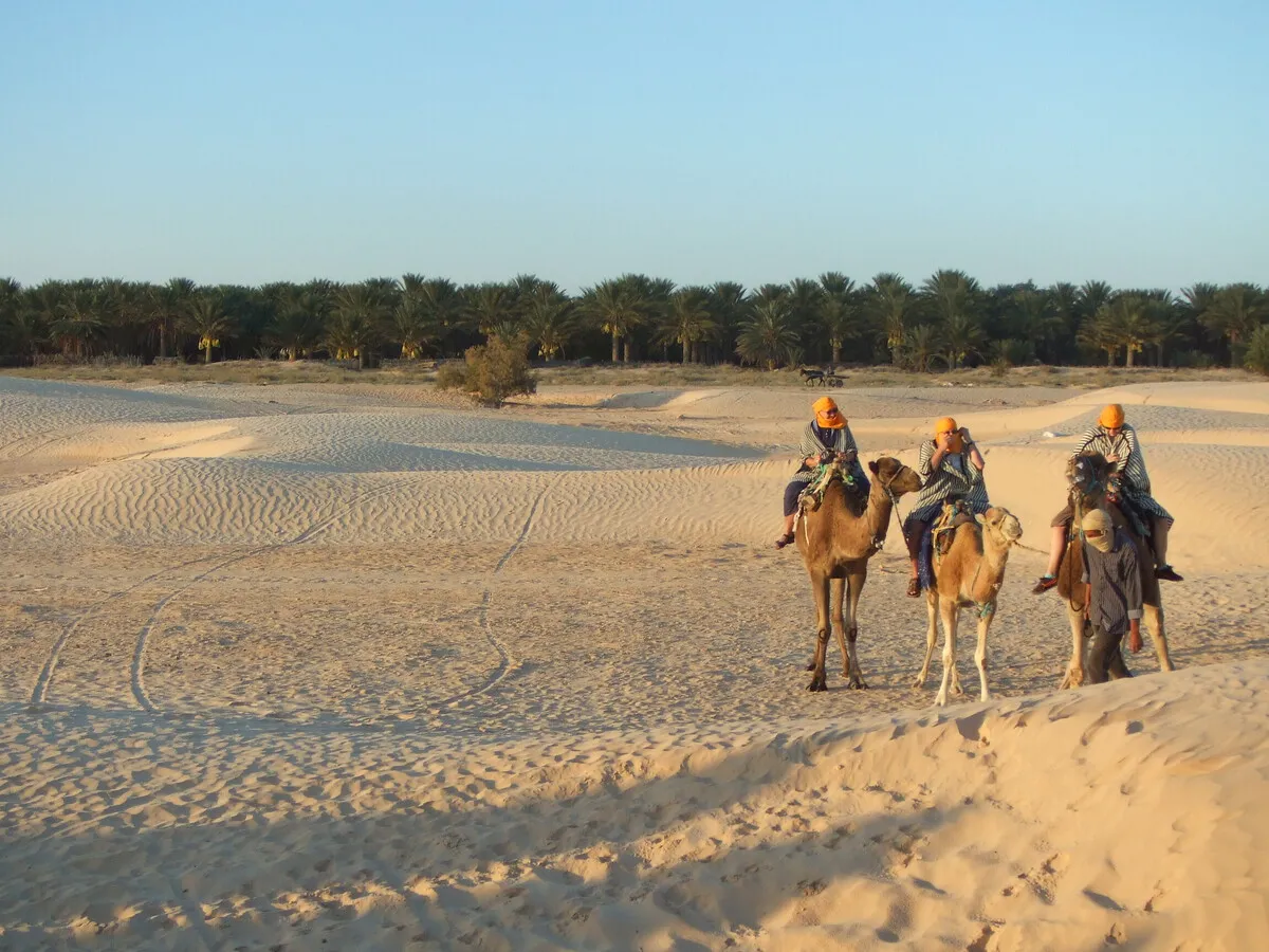 Morocco's Ambitious Agricultural Expansion in the Sahara: A Plan for 1,100 Hectares