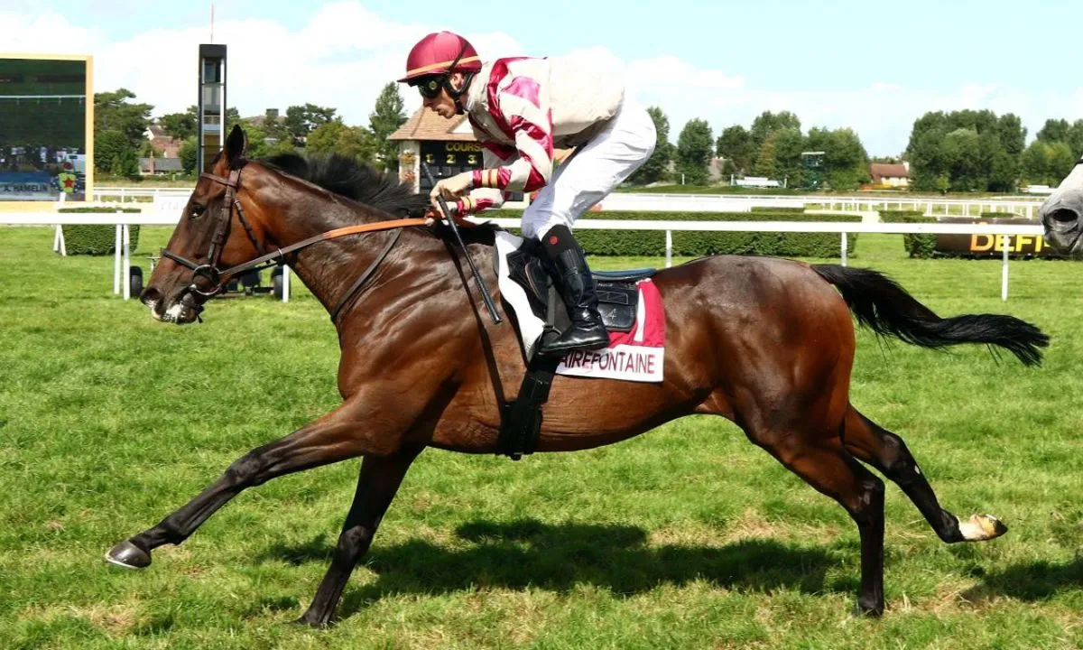 Exciting Horse Race Preview: Prix Sellerie Equiracing at Vichy