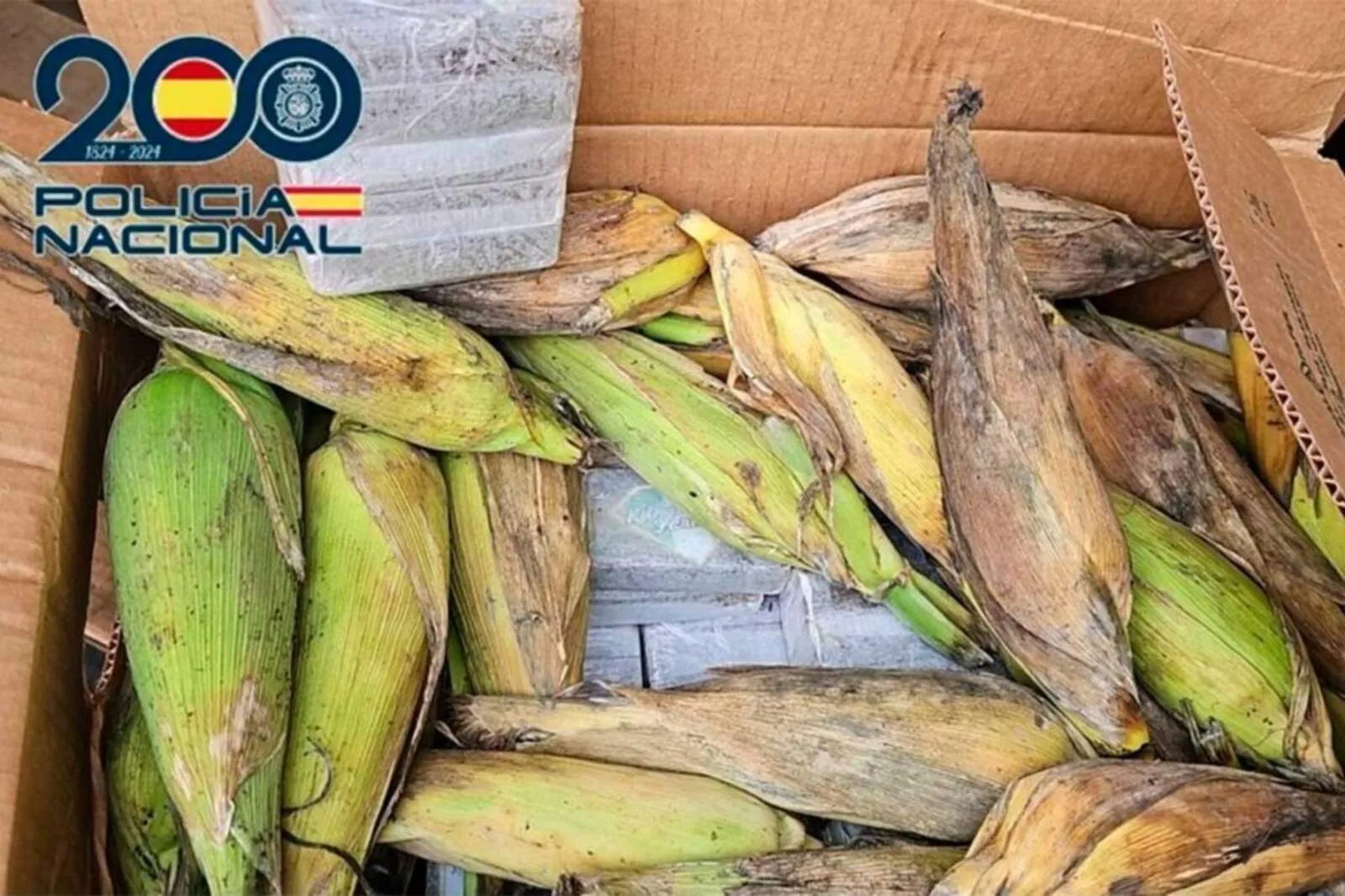 Major Drug Bust in the Canary Islands: Three Arrested and 350 Kilograms of Hashish Seized