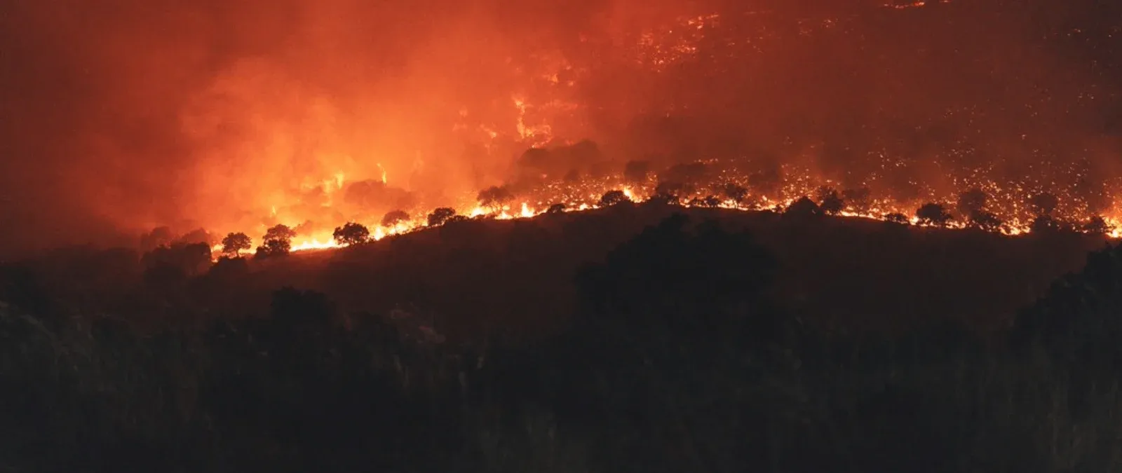 Misleading Claims About Wildfires: Clarifying the Facts Behind Viral Audio and Videos