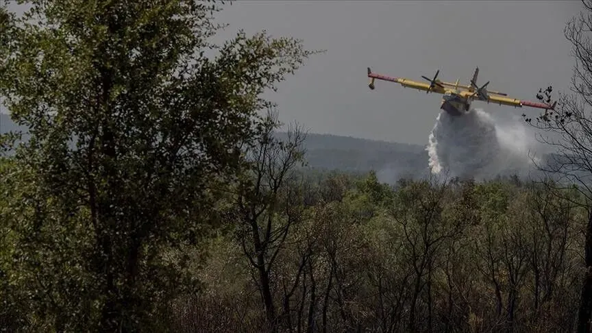 Morocco Successfully Extinguishes Recent Forest Fires Amid Rising Wildfire Risks