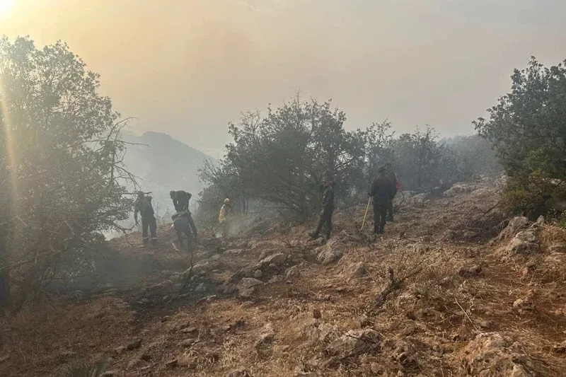 Complete Control Achieved Over the Onaine Fire in Taroudant