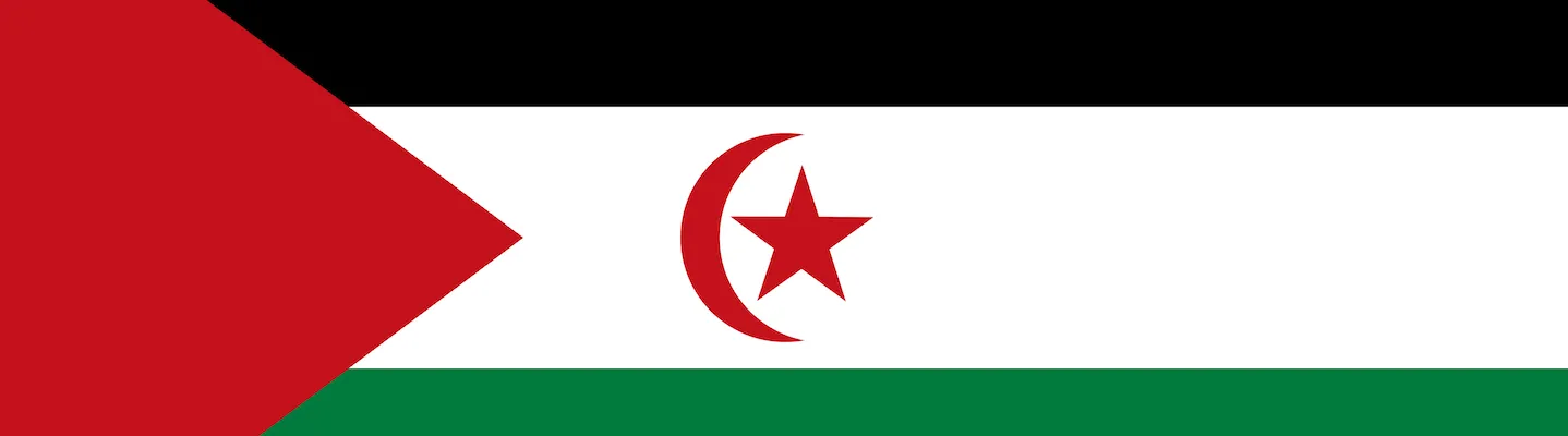The Ongoing Struggle for Western Sahara: A Historical Perspective